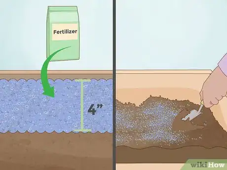 Image intitulée Grow Celery Step 7