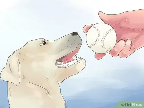 Image intitulée Bond With Your Dog Step 6