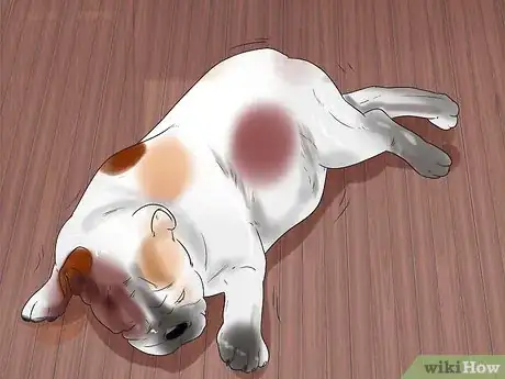 Image intitulée Help a Dog Who Has Canine Epilepsy Step 10
