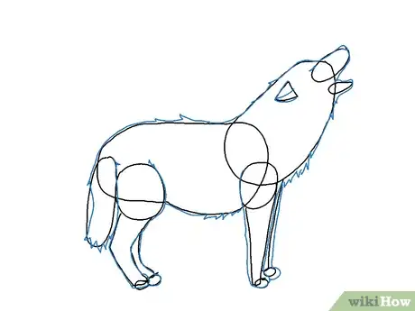 Image intitulée Draw a Wolf Step 15