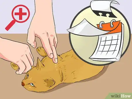 Image intitulée Clean a Cat Wound Step 14