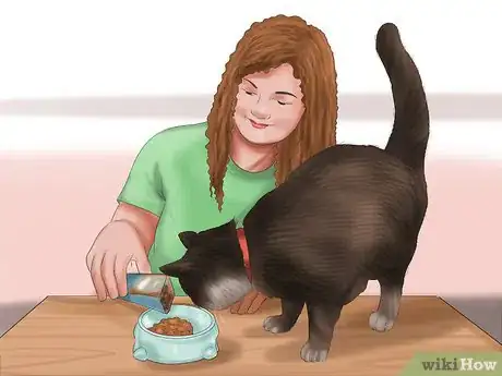 Image intitulée Care for Your Cat Step 11