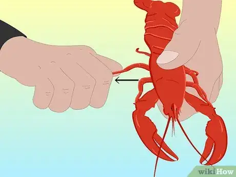 Image intitulée Eat Lobster Step 9