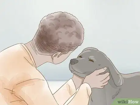 Image intitulée Reduce Anxiety in Dogs Step 5