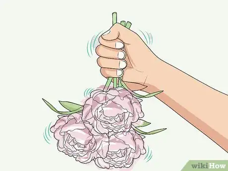 Image intitulée Keep Ants off Peonies Step 7