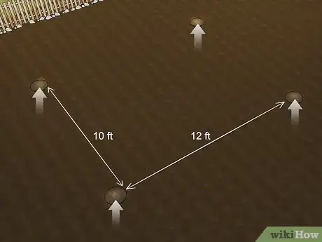 Image intitulée Grow a Pumpkin Step 5