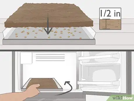 Image intitulée Grow Grapes from Seeds Step 5