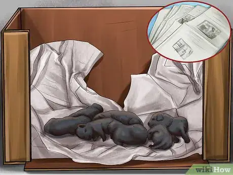 Image intitulée Save Orphaned Newborn Puppies Step 7