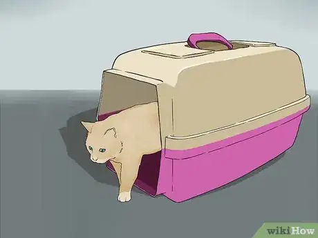 Image intitulée Travel with a Cat Step 10