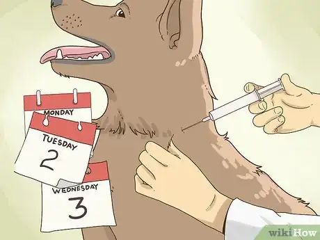 Image intitulée Treat an Allergic Reaction to Flea and Tick Preventatives Step 9