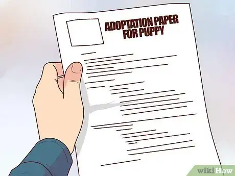 Image intitulée Buy a Puppy Step 9