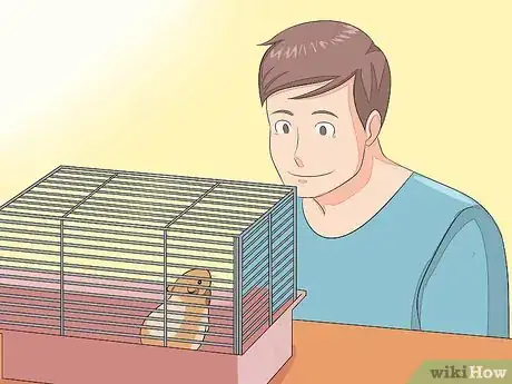 Image intitulée Hold a Hamster Step 5