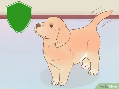 Image intitulée Buy a Golden Retriever Puppy Step 11