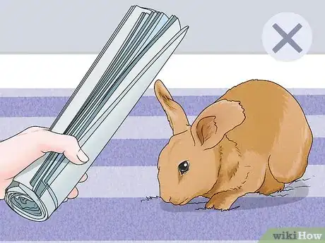 Image intitulée Stop a Rabbit's Biting Habit Step 5