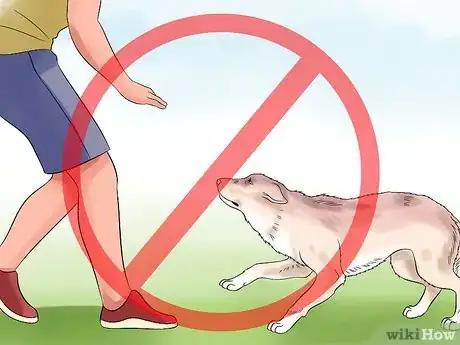 Image intitulée Approach a Shy or Fearful Dog Step 7