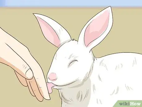 Image intitulée Pet a Rabbit Step 9
