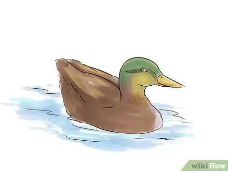 Image intitulée Call Ducks Step 14