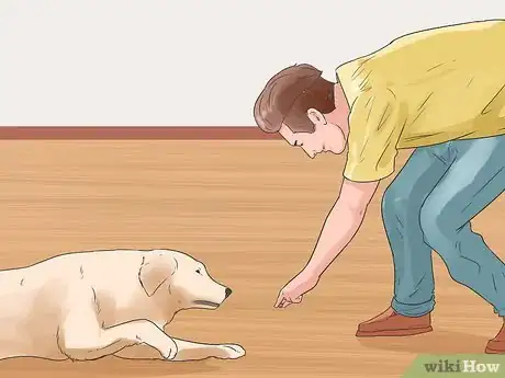 Image intitulée Teach a Dog to Crawl Step 10