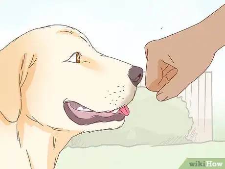 Image intitulée Pet a Dog Step 6