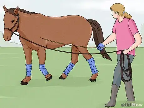 Image intitulée Lunge a Horse Step 12