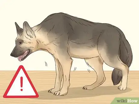 Image intitulée Stop a Dog from Eating Too Fast Step 14