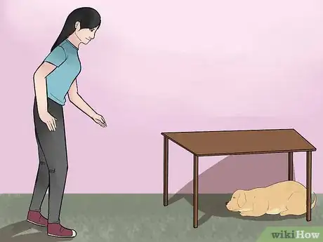 Image intitulée Keep a Dog Calm During Fireworks Step 1