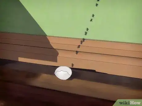 Image intitulée Kill Ants Using Borax Step 7