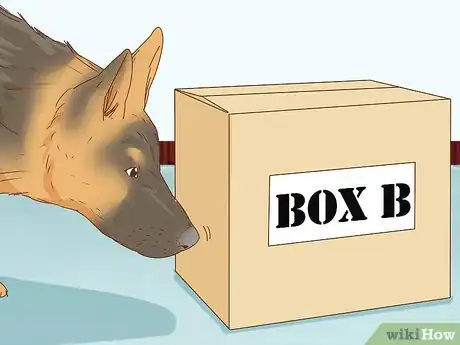 Image intitulée Identify a German Shepherd Step 13