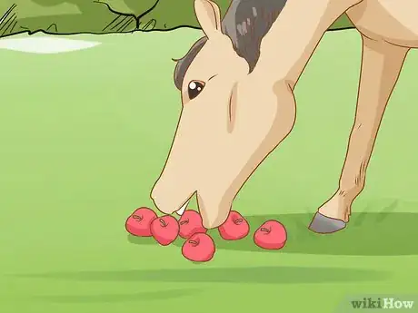 Image intitulée Feed a Horse Step 6