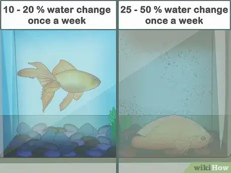 Image intitulée Clean a Fish Tank Step 3