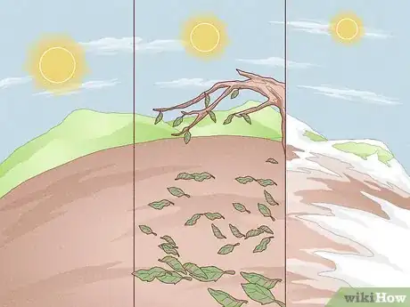 Image intitulée Determine Direction Using the Sun Step 2