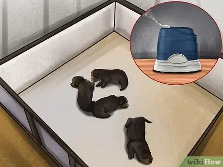 Image intitulée Save Orphaned Newborn Puppies Step 9