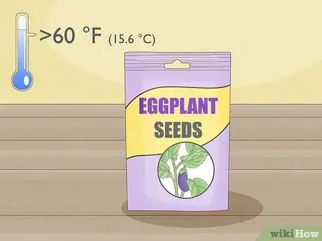 Image intitulée Grow Eggplants in Pots Step 7