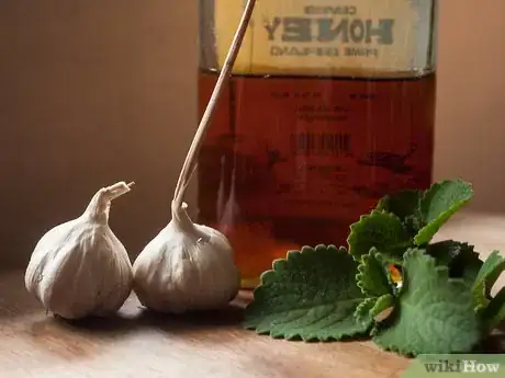 Image intitulée Prepare Oregano Leaves for Cough Medicine Step 8