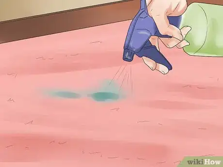 Image intitulée Remove Pet Urine from Carpet Step 12