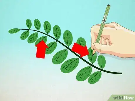 Image intitulée Draw Leaves Step 8
