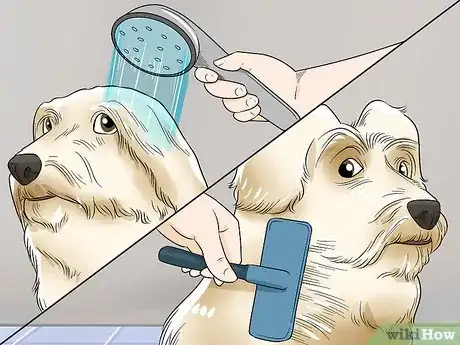 Image intitulée Shave Your Dog Step 7