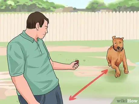 Image intitulée Train a Dog to Come Step 14