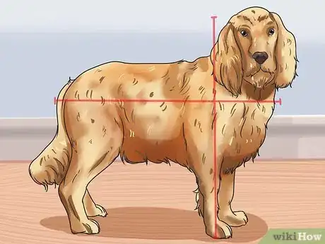 Image intitulée Calculate Dog Years Step 4