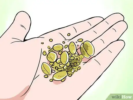 Image intitulée Find Gold Nuggets Step 1