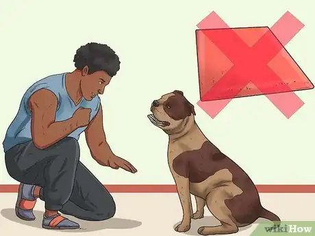 Image intitulée Give Your Large Dog a Bath Step 22