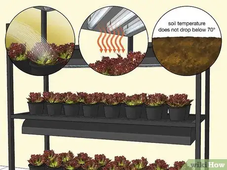 Image intitulée Design a Successful Indoor Garden Step 8