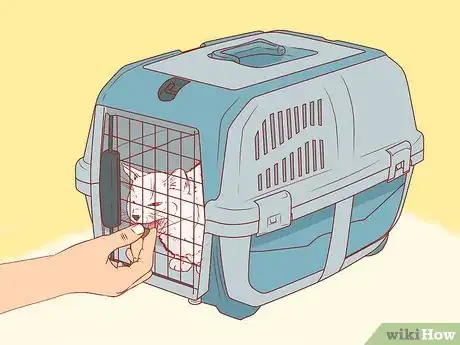 Image intitulée Get a Cat Into a Pet Carrier Step 12.jpeg