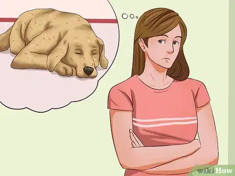 Image intitulée Ease Your Dog's Stomach Problems Step 1
