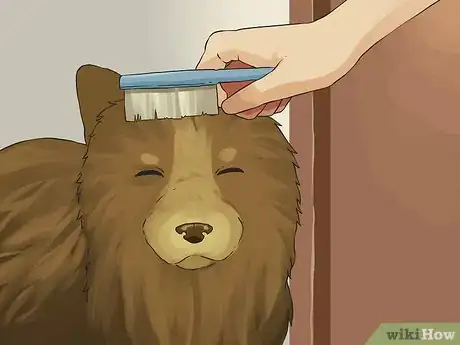 Image intitulée Give a Small Dog a Bath Step 6