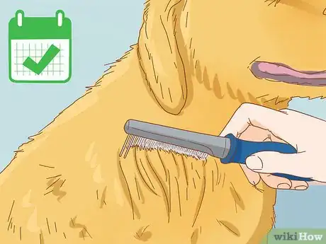 Image intitulée Keep a Dog in Good Health Step 6