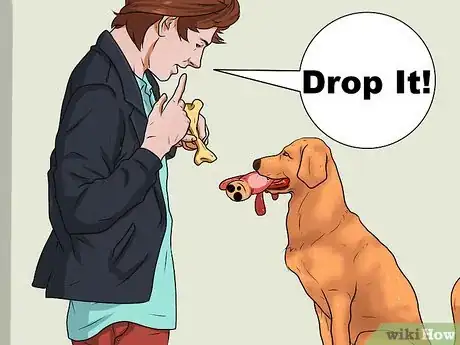 Image intitulée Teach a Dog to Fetch Step 1