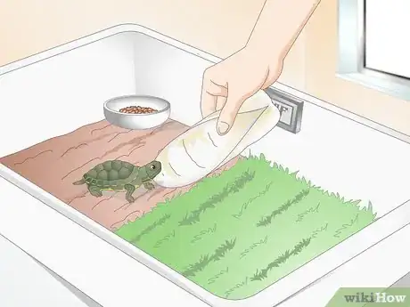 Image intitulée Feed Your Turtle if It is Refusing to Eat Step 12