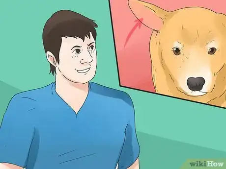Image intitulée Tell if Your Dog Is Deaf Step 4