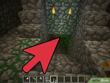 Image intitulée Mine Redstone in Minecraft Step 22